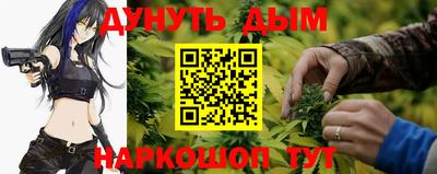 гашиш Кингисепп
