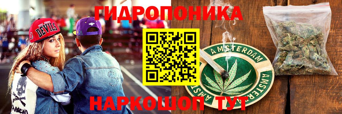 Бошки марихуана Amnesia Кузнецк